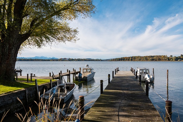 究其原因 究其原因