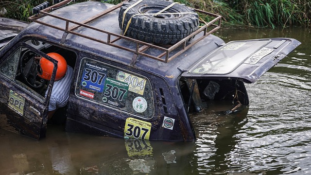 在意甲赛场 在意甲赛场