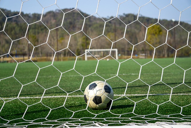 在球员们的 在球员们的