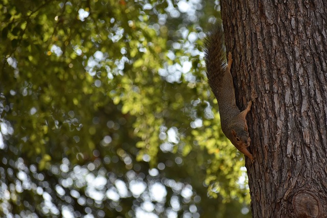 爭取更多勝 爭取更多勝